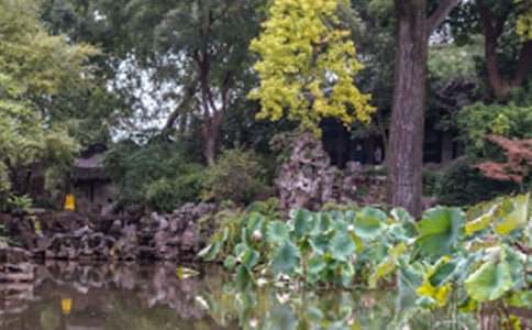 ������԰�֡���ѧʵ¼����˼