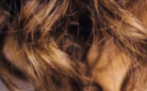 ������дͷ��������ʫ��