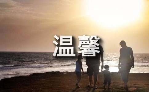 有关温馨的冬至夜作文450字