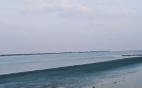 �����£����ǿ���ȥ���̰������б��ޣ�