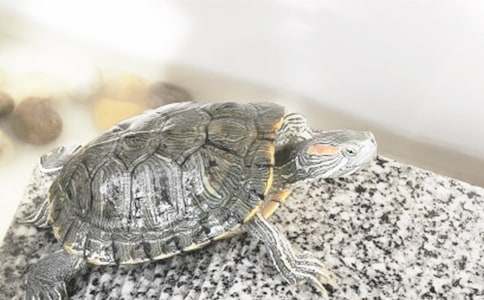 �ڹ���ҵ���ʾ��������