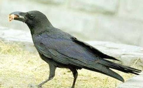 ����ѻ��ˮ���̰����