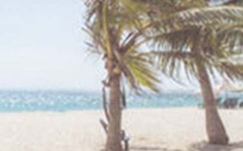 关于夏季食品安全手抄报资料