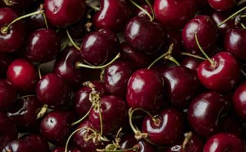 �̿ư���ϡ���ʢ�ٺ�ӣ��������Ʒ�̰�