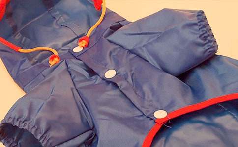 人教版新课标二年级下册《充气雨衣》教学设计