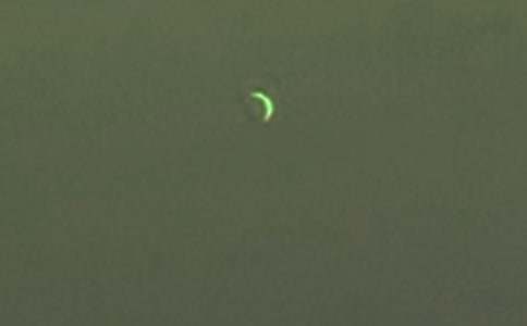 沪教版六上《白兔和月亮》教学设计