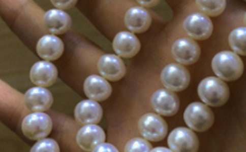 人教版四上《珍珠泉》教学实录