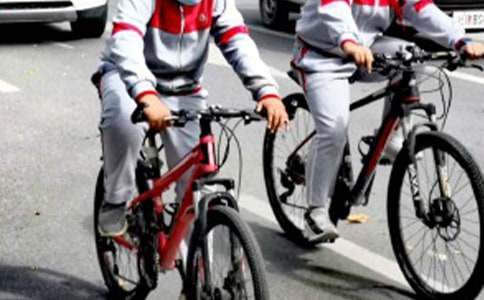 ��ѧ��������Ϊ�淶�ֳ�������