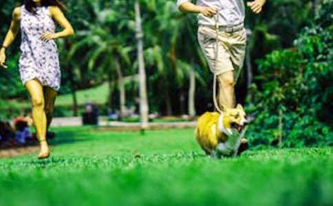 小学生有趣的周末生活日记