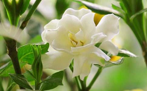 ���꼶���������ģ���ʱ�����ӻ�