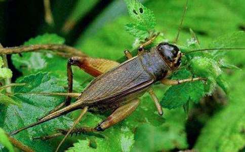 �����סլ����ѧ��ƣ��ڶ���ʱ)