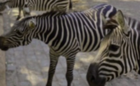 ���ð��������ķ���