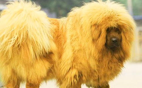 ������ɻ꡷����У�ͨ��25ƪ��