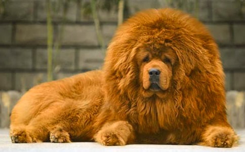 ������ɻ꡷����У�ͨ��12ƪ��