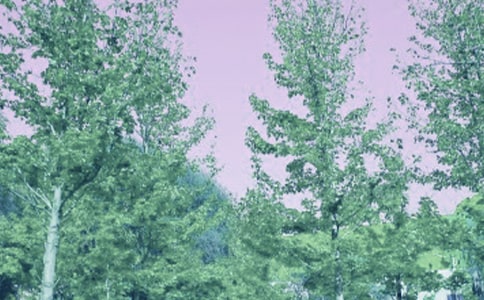 ���꼶��ѡд�������߽�����