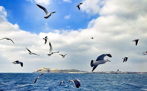 ���ɰɣ���Ÿ����ѧ��˼