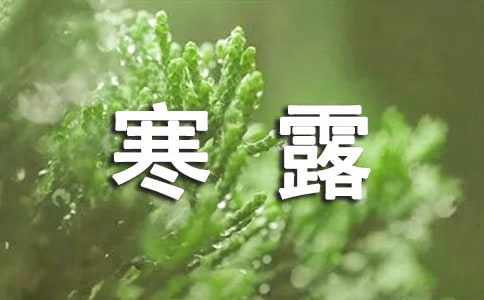 幼儿园寒露教案(精选7篇)
