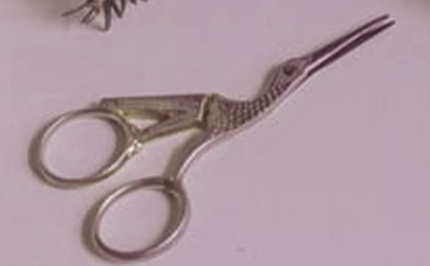 ʯͷ������Сѧ���ģ���ѡ25ƪ��