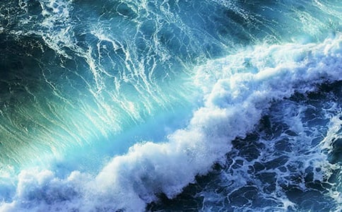 �˽̰��¿α���꼶�¡����˻�������