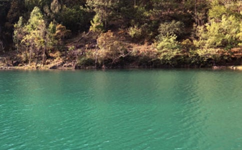 �����ų����ģ���ѡ45ƪ��