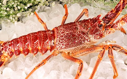 С��Ϻ�ڳ����˯ǰ����