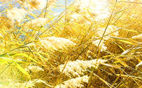 ������«έ������400��