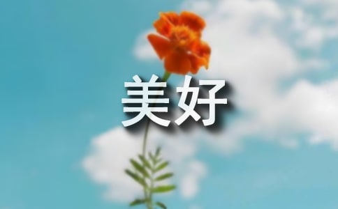 我心中的美好书屋征文(通用23篇)