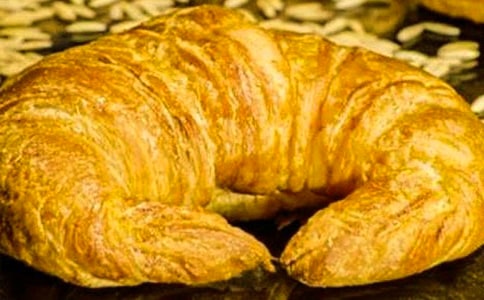 ��������������¼