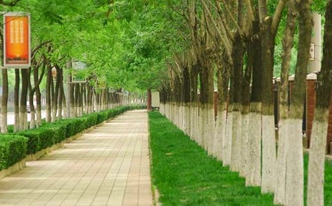 �����ɾ������е����ģ���ѡ23ƪ��