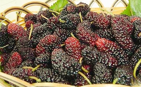 ժɣ�����ģ�ͨ��20ƪ��