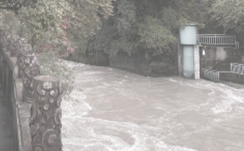 ˮ��������������