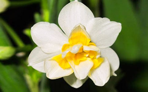 ��ϲ����ˮ�ɻ�