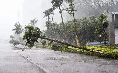 ̨�硰�Ӷ������ɣ�̨������ע������