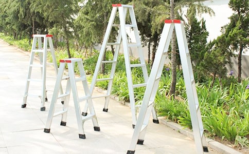 �μ�����Ԥʾ��ʲô��