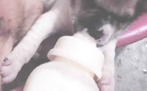 �и��μ�ι����ʲô��˼