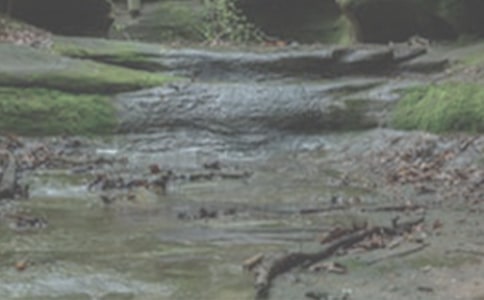 ��СϪ��ˮ�춣�ˡ���ѧ��˼����ѡ10ƪ��