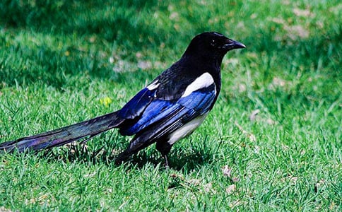 �����䡿������ϲȵ����ѧ���20ƪ