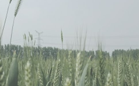 �μ��ո�С��ɢ��