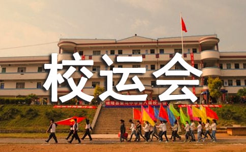 2015大学校运会工作总结