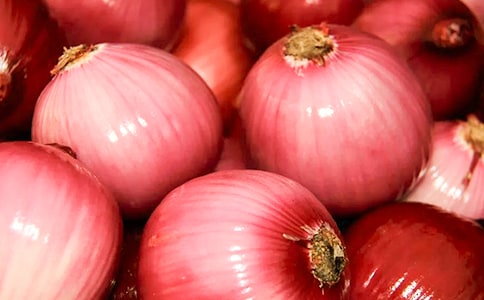 �����ͷ���ռǡ�����У���ѡ53ƪ��