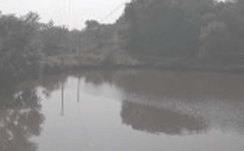 ������ϼ����