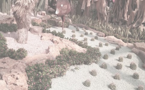 ������������ :ֲ��԰�μ�