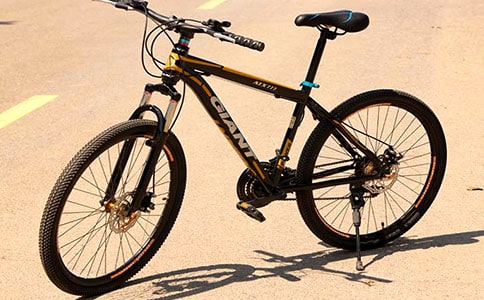 �����г�