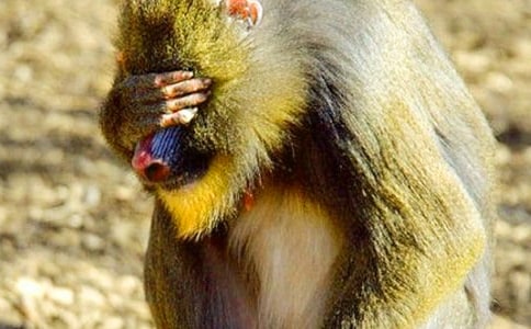 С�������ռ�