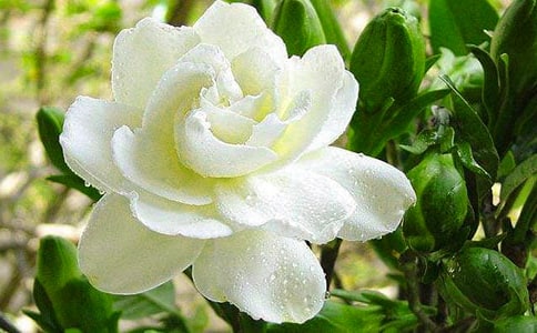 ���ӻ�����300��