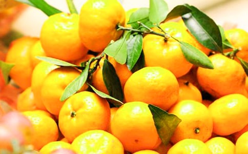 �ҵ�С������