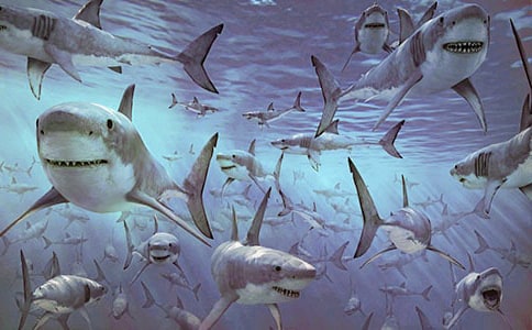 �����˵���ģ���ѡ19ƪ��