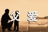 关于写父爱的格言