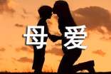 关于母爱的格言