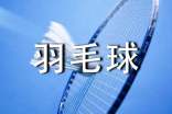 爱上打羽毛球周记